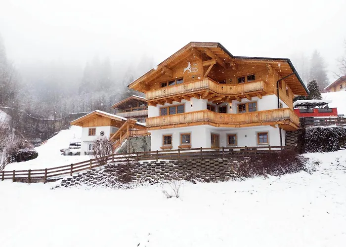 Alpensteinbock Saalbach D