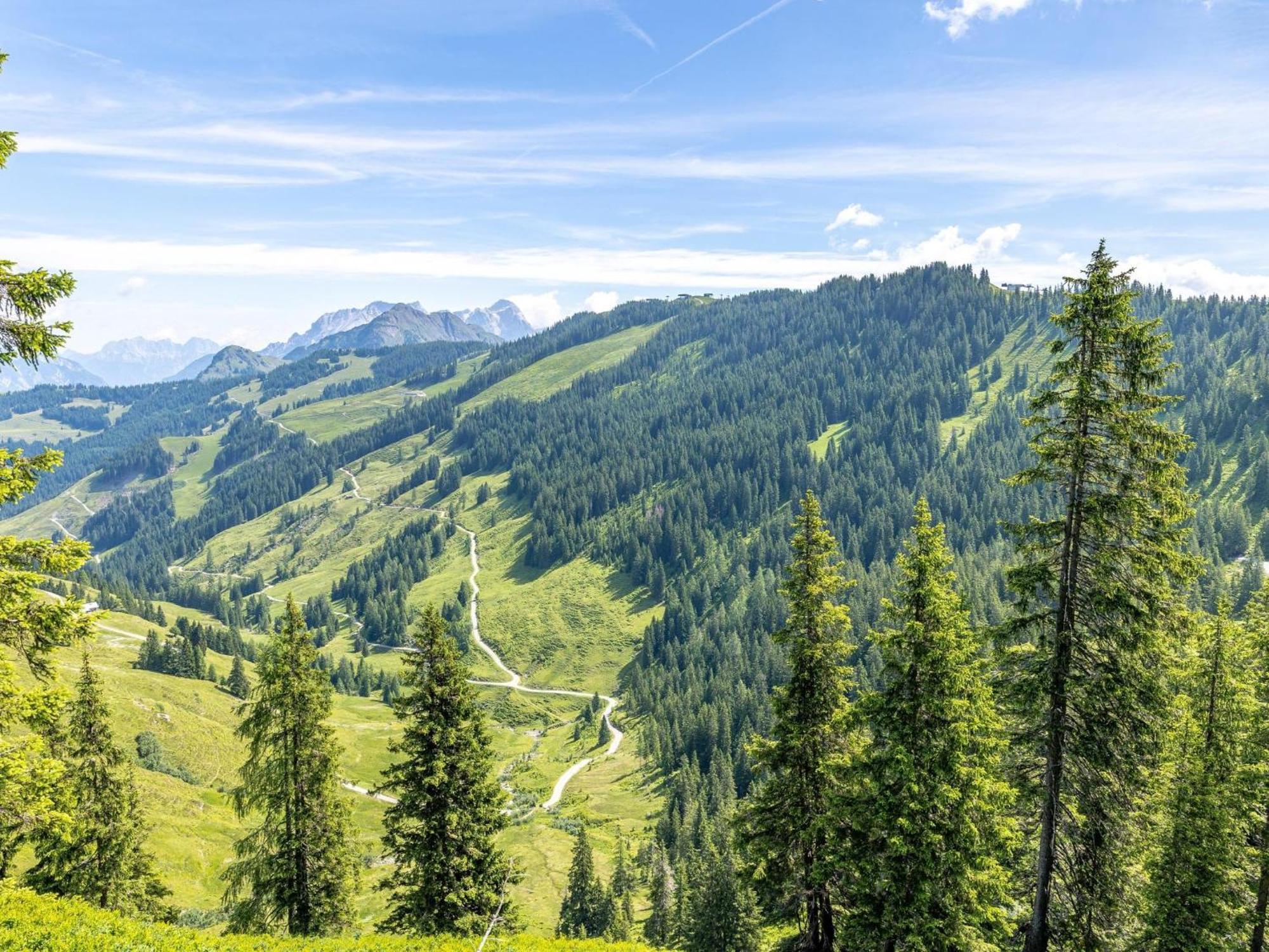 Alpensteinbock D Lejlighed Saalbach-Hinterglemm