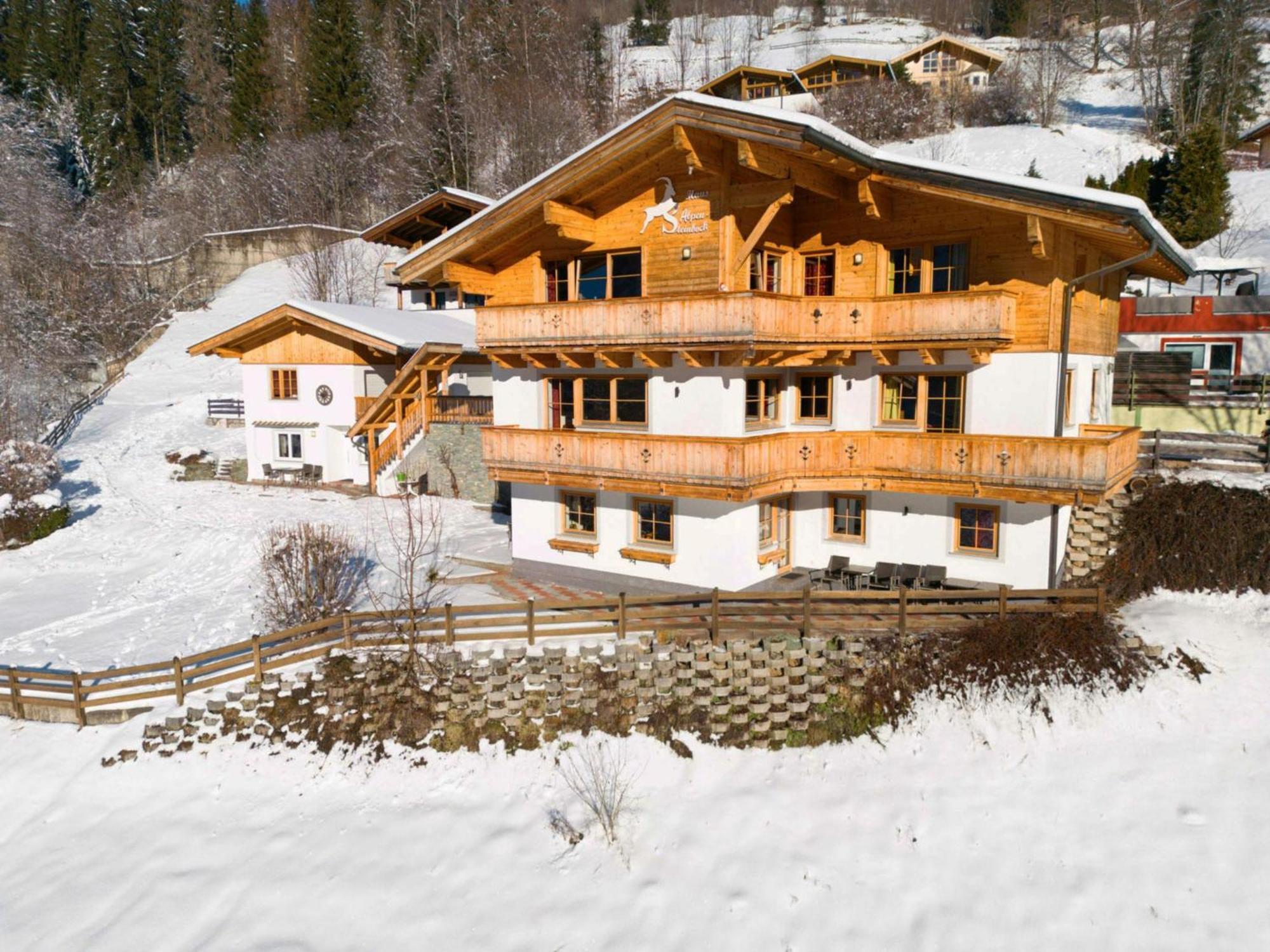 Alpensteinbock D Lejlighed Saalbach-Hinterglemm
