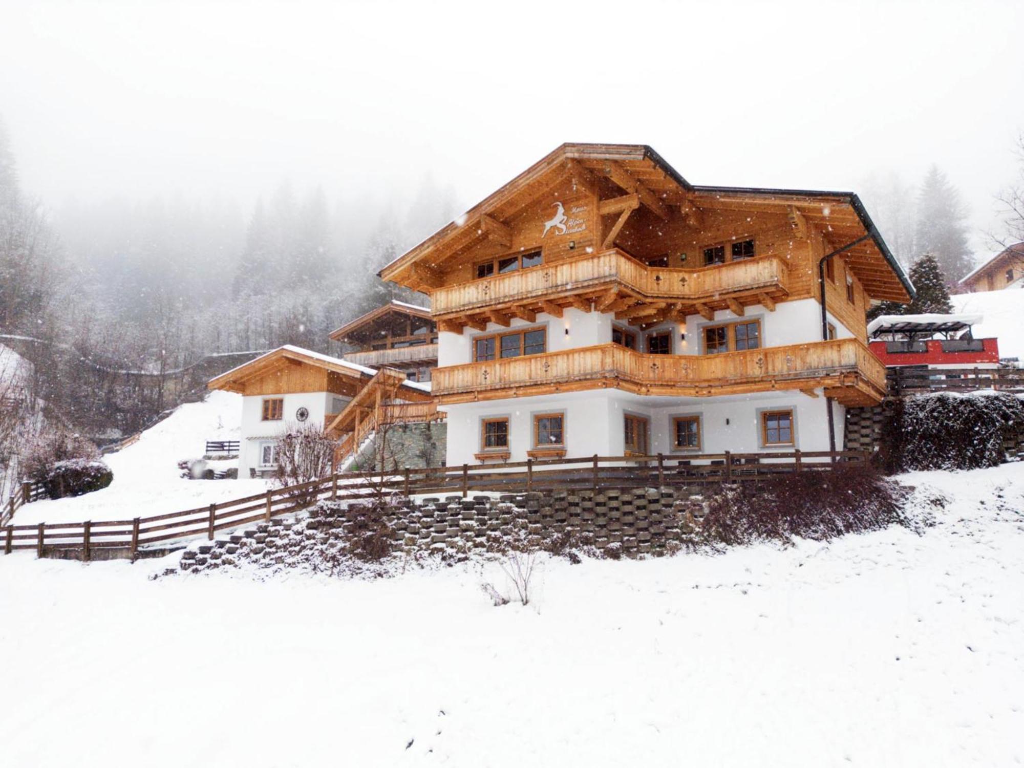 Lejlighed Alpensteinbock D